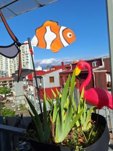 Foto Bathumis asuva majutusasutuse Chase Dream Hostel追梦空间 galeriist