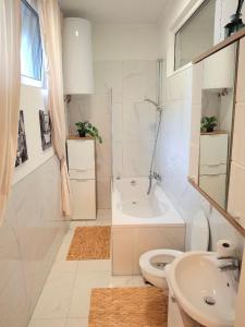 a bathroom with a toilet and a shower and a sink at Family Design Apartments Neunkirchen - 2 rooms Apartment 5 in Neunkirchen