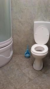 a bathroom with a toilet and a blue brush at Rafting Camp Apartments Tara in Žabljak
