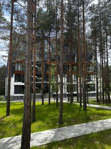 un edificio en medio de un bosque de árboles en Apartman Yellow Moon, en Divčibare