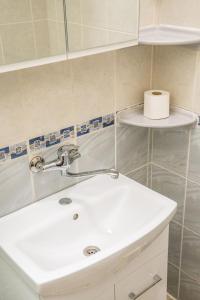 un lavandino del bagno con un rotolo di carta igienica su uno scaffale di Sobe Teatar 3 a Subotica