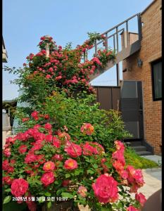 En have udenfor Angel B&B