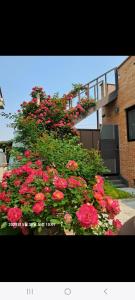 En have udenfor Angel B&B