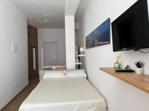 un soggiorno con letto e TV a schermo piatto di La Casa di Ciui ad un passo da Via Toledo a Napoli