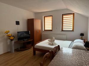 a living room with a bed and a tv at Apartments & Rooms Ramljak in Korenica