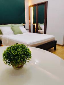バギオにあるCEDAR PEAK by AWESOME STAY in Baguioのベッド2台、鉢植えの植物が置かれたテーブルが備わる客室です。 +4枚の写真