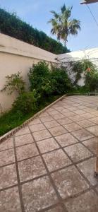 a concrete sidewalk next to a wall with a palm tree at Sidi mahrsi Nabeul in Nabeul +7 photos