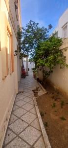 an alley with a tree next to a building at Sidi mahrsi Nabeul in Nabeul