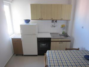 a small kitchen with a white refrigerator and a sink at Villa Lucia premium rooms in Primošten