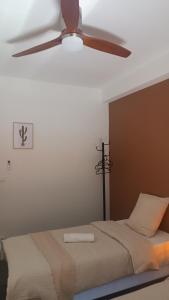 拉卡诺Chti Moutchico的相册照片