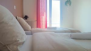 拉卡诺Chti Moutchico的相册照片