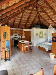 Kuchyň nebo kuchyňský kout v ubytování Cabo Pulmo Beach Resort