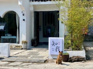 TaipingZhiwo B&B Fanjingshan East Branc的站在建筑物前标志旁的狗 更多4张照片