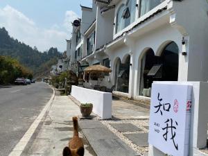 TaipingZhiwo B&B Fanjingshan East Branc的一只猫站在路边