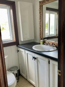 a bathroom with a sink and a mirror at Muskoka Cabana - Sandy beach cottage in Muskoka in Windermere