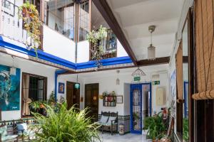 einen Innenhof eines Gebäudes mit Pflanzen in der Unterkunft Backpacker Al-Katre in Córdoba