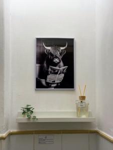 Fotografie z fotogalerie ubytování Extralarge Queen Room in the Heart of Bratislava with Terrace v destinaci Bratislava