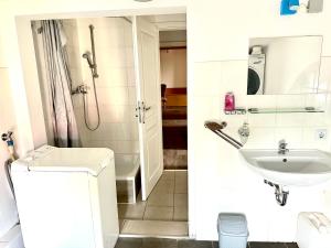 um banheiro com pia e chuveiro em Pension Jasmin A em Chemnitz mais 39 fotografias