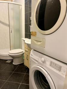 a bathroom with a washing machine and a toilet at Tivat Centar Apartment in Tivat +1 photo