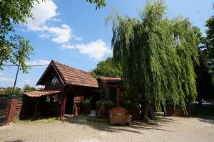 Κήπος έξω από το ALEX VİLLAGE LİFE