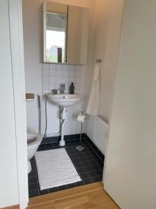 a bathroom with a sink and a toilet at Villa in Stockholm  +3 photos