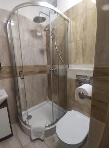 a bathroom with a shower with a toilet and a sink at Villa For You in Oświęcim