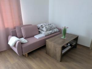 a living room with a couch and a coffee table at Villa Hrachovo in Hrachovo
