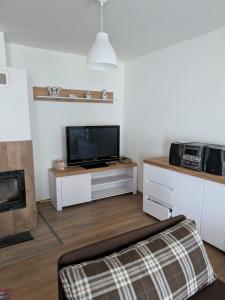 Una sala de estar con televisión y chimenea. en Villa Hrachovo, 