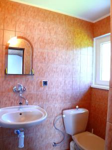 Koupelna v ubytování Pension Faema + 23 fotografií