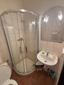a bathroom with a shower and a sink and a toilet at Apartmán Srdce Novohradských hor in Benešov nad Černou