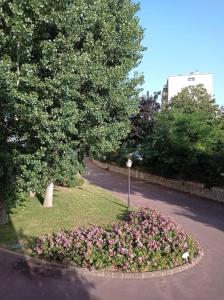 Κήπος έξω από το Studio proche de Paris +8 φωτογραφίες