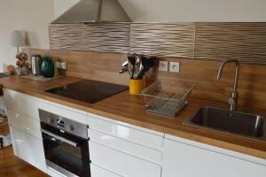 eine Küche mit einer Spüle und einer Arbeitsplatte mit einer Spüle in der Unterkunft Magnifique studio au centre historique in Mulhouse + 5 Fotos