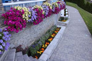 eine Stützmauer mit bunten Blumen darauf in der Unterkunft Apartments in Flattach - Kärnten 50 in Flattach + 1 Foto