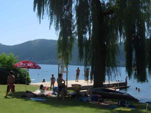 eine Gruppe von Menschen, die auf dem Gras am Strand sitzen in der Unterkunft Apartments in Flattach - Kärnten 50 in Flattach