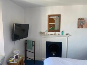 a bedroom with a television and a fireplace with a mirror at Harbour view cottage, clovelly in Clovelly