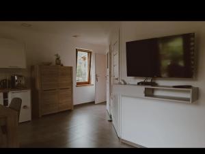 a living room with a flat screen tv on a wall at Zacisze pod Śnieżką in Mysłakowice