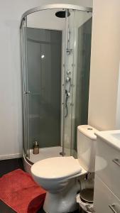 ein Badezimmer mit einem weißen WC und einer Dusche in der Unterkunft Studio Bali I spacieux avec jardin d'été I proche Futuroscope in Châtellerault + 10 Fotos