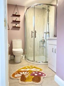 a bathroom with a shower with a toilet and a rug at Shimna Vale Studio in Newcastle +14 photos