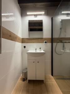 a bathroom with a white sink and a shower at Agroturystyka u Smerfa in Ugoszcz +22 photos