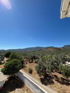 a view of the desert from the roof of a house at Grand Alver Otel in Edremit