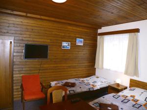TV a/nebo společenská místnost v ubytování Pension Faema