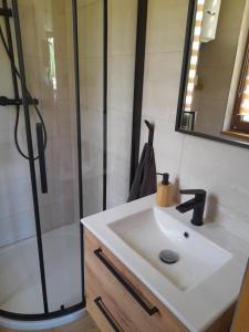 a bathroom with a sink and a shower at Przystanek Bereżnica in Bereżnica Wyżna