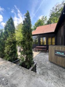 two trees in pots in front of a house at Willa Myćko-Masłowskich in Kazimierz Dolny +11 photos
