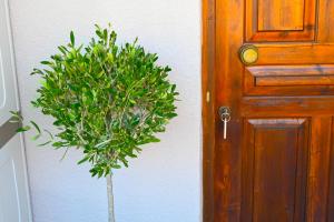 Fotografie z fotogalerie ubytování Bohemian Afitos Apartment v destinaci Afitos