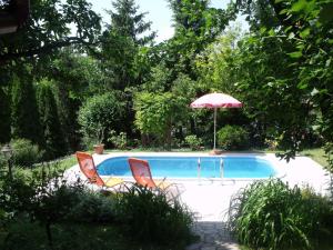 piscina con ombrellone e due sedie di Apartments in Fonyod - Balaton 18584 a Fonyód