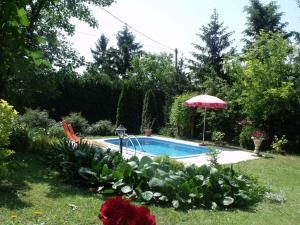 una piscina con un ombrellone in un cortile di Apartments in Fonyod - Balaton 18584 a Fonyód Altre 5 foto