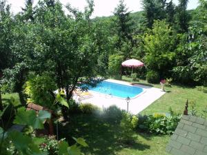 una piscina in giardino con ombrellone di Apartments in Fonyod - Balaton 18584 a Fonyód