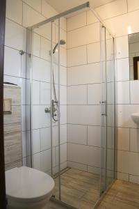 Un baño con ducha, inodoro y lavabo. en Pokoje u SŁONIA, en Stegna