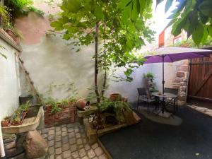 Zahrada ubytování Gîte le Chaudron