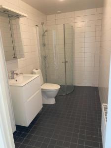 a bathroom with a toilet and a shower and a sink at Villa in Stockholm 
